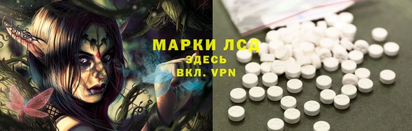 шишки Бронницы