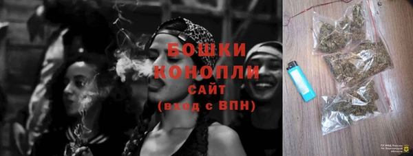 шишки Бронницы