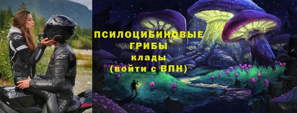 шишки Бронницы