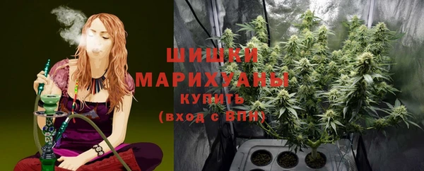 шишки Бронницы
