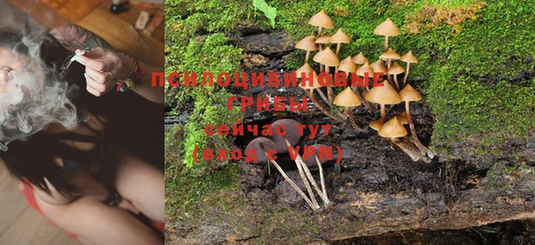 шишки Бронницы