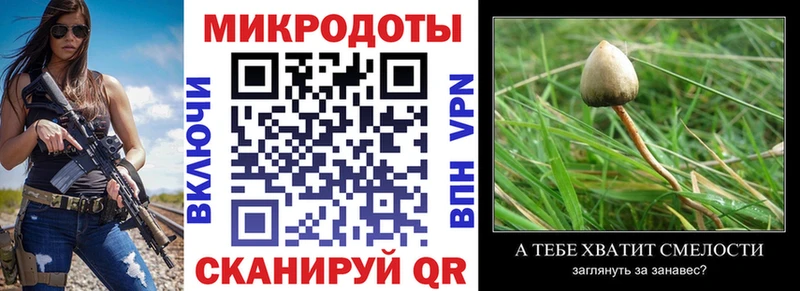 Псилоцибиновые грибы MAGIC MUSHROOMS  купить наркотики сайты  Губкинский 