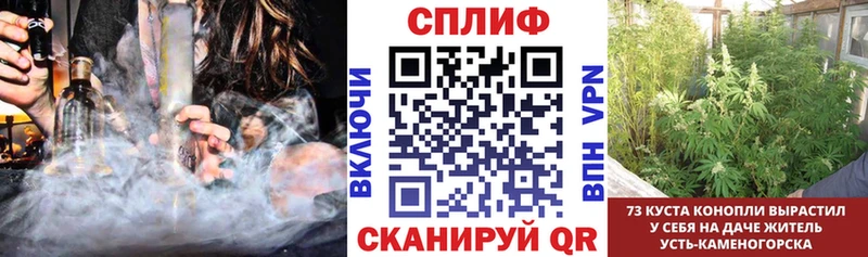 МАРИХУАНА семена  Губкинский 